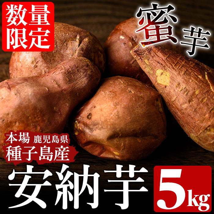 品質満点！ ＜期間限定・数量限定＞種子島産 安納芋(5kg)国産 安納芋
