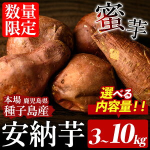 yӂ邳Ɣ[Łzs\tI2025N10{菇\聄eʂIׂIqY [(3`10kg) Y [ { q  C  ܂ ܈ [ 