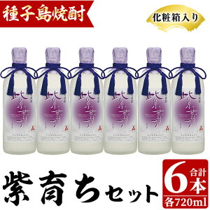 yӂ邳Ɣ[Łzl𑢁u炿v(720ml×6{Eϔ) q Ē Ē qS[h Ē AR[ n   ƈ Zbg 蕨