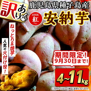 yӂ邳Ɣ[ŁzԌIs\tI2025N10{12̔\聄s󂠂teʂIׂIqY [g(ԌeʁE4`11kg) Y [ g q  