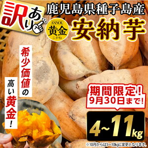 yӂ邳Ɣ[ŁzԌeʁIs\tI2025N9{12̔\聄s󂠂teʂIׂIqY [(4`11kg) Y [  Ă Ĉ q