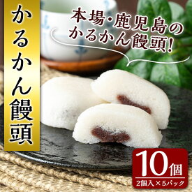 【ふるさと納税】鹿児島銘菓！昔ながらのかるかん饅頭(計10個・2個入×5パック) 鹿児島 種子島 和スイーツ 和菓子 郷土 軽羹【山田製菓本舗】