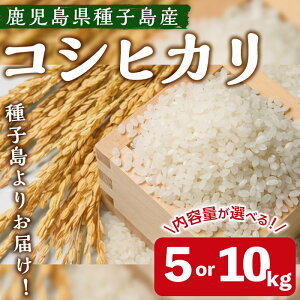 yӂ邳Ɣ[ŁzԌIq̂āIRVqJ(5~10kg) Y Y q RVqJ Ђ     yȂ˔_Yz