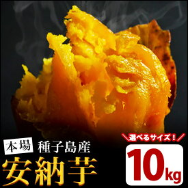 【ふるさと納税】＜先行予約受付中！2026年10月中旬頃より順次発送予定＞数量限定！サイズが選べる！種子島産 安納芋(S～Mサイズ・10kg) さつまいも さつま芋 蜜芋 特産品 いも イモ 安納いも 野菜 スイーツ おやつ 本場 焼芋 焼き芋 生芋 【JA種子屋久】