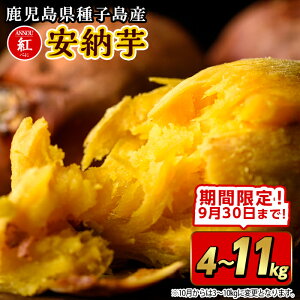 yӂ邳Ɣ[ŁzԌIs\tI2025N10{12̔\聄eʂIׂIqY [g(ԌeʁE4`11kg) Y [ g q  C 