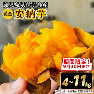 yӂ邳Ɣ[ŁzԌIs\tI2025N9{12̔\聄eʂIׂIqY [(ԌeʁE4`11kg) Y [  q  