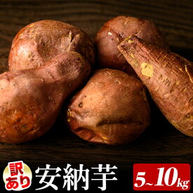 【ふるさと納税】＜先行予約受付中！2026年10月中旬頃より順次発送予定＞≪訳あり≫内容量が選べる！種子島産 安納芋(5～10kg・サイズミックス) 国産 安納芋 さつまいも さつま芋 蜜芋 本場 種子島 芋 イモ いも 安納いも 野菜 常温 B級品 【種子島安納株式会社】
