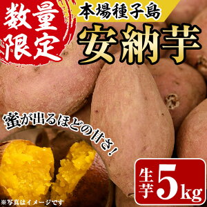 yӂ邳Ɣ[Łzs\tI2025N10{菇\聄qY [(5kg)Y q  ܈  fU[g  Ĉ ₫ Ă ؁y̗z