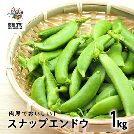 【ふるさと納税】【先行予約】 種子島 スナップエンドウ 人気 種子島産 返礼品 南種子町 鹿児島 かごしま 【12月発送予定】【のっちーよ種子島】