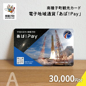 yӂ邳Ɣ[ŁzqόJ[hidqnʉ݁u!Payvj30,000~ q ˂  ԗi yqz