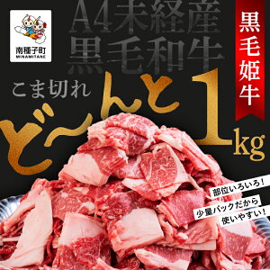 yӂ邳Ɣ[Łz ѕP ܐ؂ 250g × 4pbN A4 oY јa   јa ؂藎Ƃ j ̓ hV̓ Hi O  킯 lC  Mtg ԗ