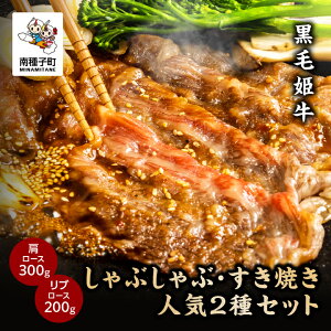 yӂ邳Ɣ[Łz ѕP ԂԁEĂ lC2 Zbg [X 300g u[X 200g A4 јa   Hi O  lC  Mtg Mtg  ԗi 