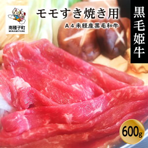 yӂ邳Ɣ[Łz ѕP  Ăp 600g A4 oY јa  ɂ    Ă ₫ Ԃ Y a O Hi  lC  Mtg  