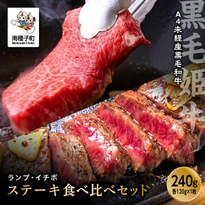 yӂ邳Ɣ[Łz ѕP v E C`{ Xe[L Zbg e 120g × 1 A4 oY 󏭕 lߍ킹 јa   O  lC  Mtg  ԗi q