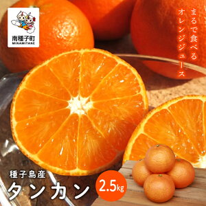 yӂ邳Ɣ[Łz s s\ ts 2026N2{`3{t qY ^J  2.5kg ^J 񂩂 IW ʕ t[c Hi O   lC  