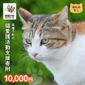 yӂ邳Ɣ[Łz sԗiȂt L슈x 3,000~`10,000~ L L ˂  ی  ی슈  x t q    yqL̓K{