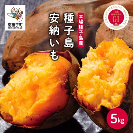 【ふるさと納税】【先行予約】 種子島 安納いも さつまいも 5kg 焼きいも 焼き芋 本場 安納芋 さつま芋 甘い ねっとり スイーツ おやつ グルメ お取り寄せ おせち 人気 種子島産 返礼品 南種子町 鹿児島 かごしま 【観光物産館トンミー市場】