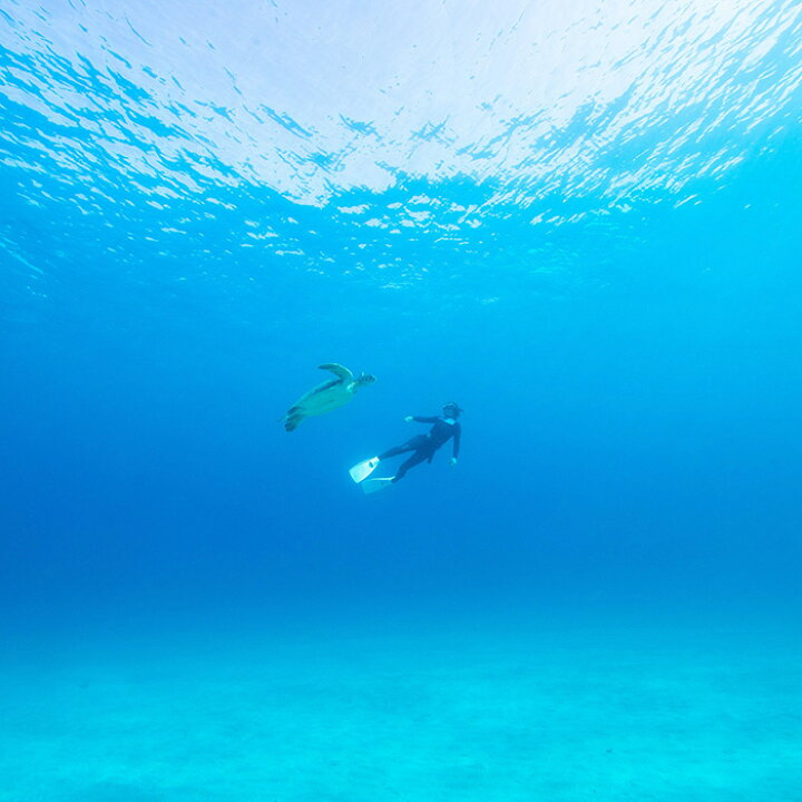 楽天市場 ふるさと納税 白谷雲水峡 縄文杉 ヤクスギランド等 Jtbふるさと納税旅行クーポン 1 500 000円分 鹿児島県屋久島町 鹿児島県 鹿児島 屋久島 ふるさと 納税 支援 返礼品 旅行 旅行券 クーポン ホテル 旅館 宿 レストラン 食事 お食事 宿泊 泊り 国内