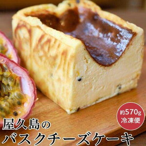 【ふるさと納税】屋久島のバスクチーズケーキ 【パッションフルーツ】