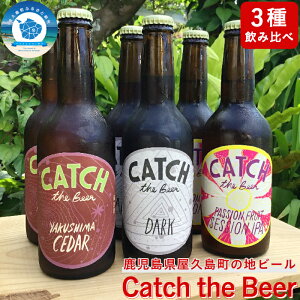 yӂ邳Ɣ[ŁzvEnr[ Catch the Beer܂r[36{Zbg | rr[ ݔ l Mtg3 Lb`UrA AR[   v 