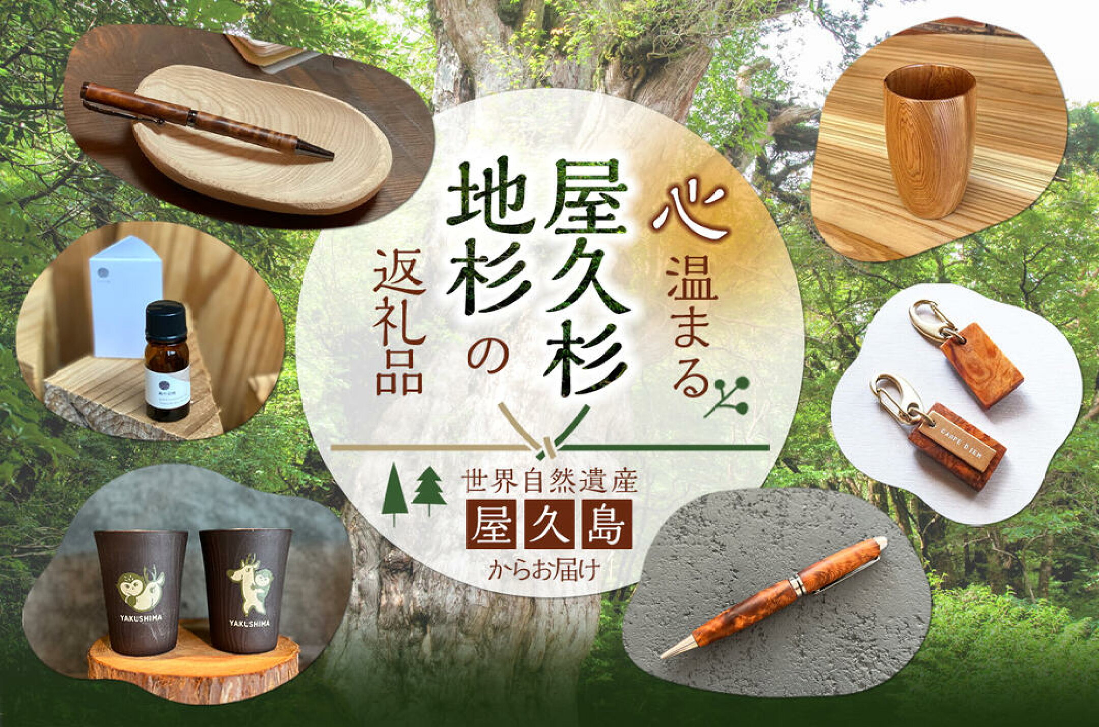 屋久杉特集
