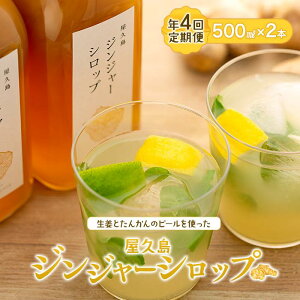 yӂ邳Ɣ[ŁzւIׂIvWW[Vbv (500ml)×2{Zbg |  v ӂ邳 [  yY WW[Vbv WW[ WW[G[ 