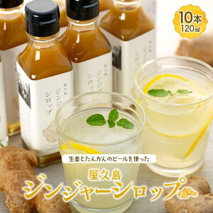 yӂ邳Ɣ[ŁzvWW[Vbv (120ml)×10{Zbg |  v  v ӂ邳 [ ԗi  yY WW[Vbv WW[ WW[G