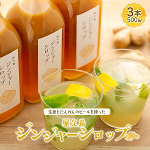 yӂ邳Ɣ[ŁzvWW[Vbv (500ml)×3{Zbg |  v  v x ԗi  yY WW[Vbv WW[ WW[G[ B