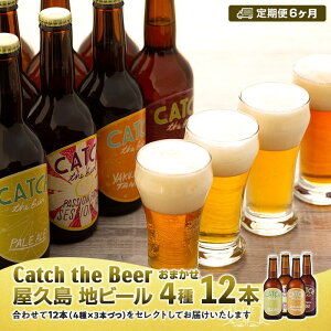 yӂ邳Ɣ[Łzy6zvEnr[ Catch the Beer܂r[412{Zbg |  v nr[ rr[ r[ 12{ ݔ׃Zbg ݔ Zbg lߍ킹 r[