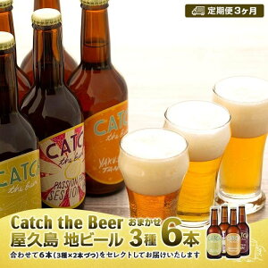 yӂ邳Ɣ[Łzy3zvEnr[ Catch the Beer܂r[36{Zbg | nr[ rr[ r[ 3 330ml 6{ ݔ Zbg lߍ킹 Lb`UrA AR[
