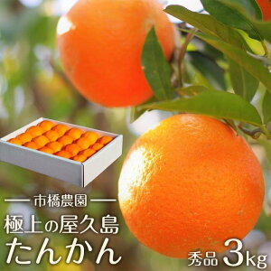 yӂ邳Ɣ[Łzs\^ʌ聄ys_zvY񂩂 3LiGi^pƂĂ) | 񂩂 ^J Y ʕ  t[c k ʌ Ԍ v