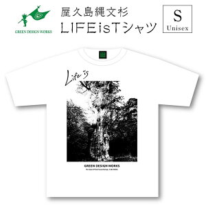 yӂ邳Ɣ[ŁzvꕶTVc LIFE is () | tVc v Y fB[X  tVc eBVc eB[Vc  tVc   Mtg v[g