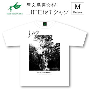 yӂ邳Ɣ[ŁzvꕶTVc LIFE is () | tVc v Y fB[X  tVc eBVc eB[Vc  tVc   Mtg v[g
