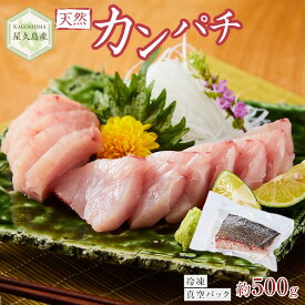【ふるさと納税】屋久島産 天然カンパチ 約500g ブロック 冷凍 真空パック | カンパチ 魚 さかな 刺し身 刺身 さしみ 魚介 海鮮 海鮮丼 海の幸 冷凍 お取り寄せ グルメ 人気 おすすめ お楽しみ 屋久島 屋久島町 鹿児島県