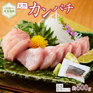 yӂ邳Ɣ[ŁzvY VRJp` 500g ubN Ⓚ ^pbN | Jp`   hg hg   CN CN C̍K Ⓚ  O lC  y 