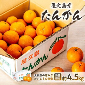 【ふるさと納税】2026年 屋久島産たんかん自家用(訳あり品) 約4.5kg(S～2Lサイズ・少々キズあり)＜先行予約／数量限定＞ | 鹿児島県 鹿児島 屋久島 お取り寄せ 取り寄せ ご当地 たんかん タンカン くだもの 果物 フルーツ 柑橘 かんきつ類 柑橘フルーツ 果実 国産