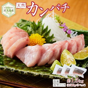 yӂ邳Ɣ[ŁzvY VRJp` 1.5kgi500g×3j ubN Ⓚ ^pbN | Jp`   hg hg   CN CN C̍K Ⓚ  O lC 