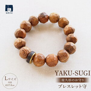 yӂ邳Ɣ[ŁzyMAMORIzYAKU-SUGI×HORN uXbg LTCY