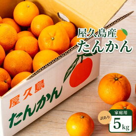 【ふるさと納税】2026年 屋久島産たんかん 家庭用 訳あり 約5kg(S～2Lサイズ・少々キズあり)＜先行予約／数量限定＞ | 鹿児島県 屋久島町 お取り寄せ たんかん タンカン くだもの 果物 フルーツ 柑橘 柑橘類 かんきつ類 柑橘フルーツ 果実 先行受付 数量限定 訳アリ 自家用