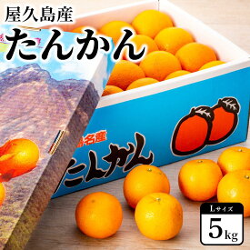 【ふるさと納税】2026年 屋久島産たんかん 約5kg・Lサイズ＜先行予約／数量限定＞ | 鹿児島県 屋久島町 鹿児島 屋久島 お取り寄せ 取り寄せ ご当地 たんかん タンカン くだもの 果物 フルーツ 柑橘 柑橘類 かんきつ類 柑橘フルーツ 果実 先行受付 数量限定