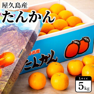 yӂ邳Ɣ[Łz2026N vY񂩂 5kgELTCYs\^ʌ聄 |  v  v   n 񂩂 ^J  ʕ t[c 