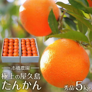 yӂ邳Ɣ[Łzs\^ʌ聄ys_zvY񂩂 5LiGi^pƂĂ) | ʕ  t[c k 񂫂   O n  Mt