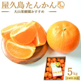 【ふるさと納税】大山果樹園おすすめ 屋久島たんかん 約5kg【家庭用・良品】 | タンカン 国産 果物 くだもの フルーツ 柑橘 数量限定 期間限定 屋久島町 鹿児島 屋久島 ふるさと 納税 お取り寄せ ご当地 訳アリ 家庭用