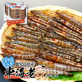 【ふるさと納税】鹿児島県産 活き〆冷凍 車海老（養殖）LLサイズ 計600g（300g 10～12尾×2パック）セット | エビ 海老 送料無料 屋久島 屋久島町 鹿児島 鹿児島県 九州 海鮮 エビフライ エビチリ 魚介類 冷凍 お取り寄せ オススメ
