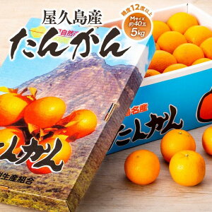 yӂ邳Ɣ[Łz2026N vY񂩂 40ʓi5kg^MTCYjs\^ʌ聄 | ӂ邳 [   n 񂩂 ^J  ʕ t[c Yi