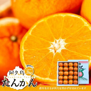 yӂ邳Ɣ[Łzys\zvY񂩂 LTCY 3kg (20)nӔ_ | 񂩂 ^J Y ʕ  t[c k ʌ Ԍ v  v ӂ