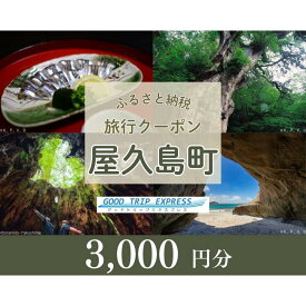 【ふるさと納税】屋久島町に泊まるふるさと納税旅行クーポン【3,000円分】 | 旅行券 宿泊券 宿泊 観光 旅行 ホテル クーポン チケット 屋久島