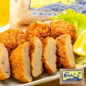 【ふるさと納税】屋久島 魚すりみ 300g×15パック＜屋久島名産のトビウオ使用＞ | 鹿児島県 屋久島町 鹿児島 屋久島 支援品 返礼品 お取り寄せ ご当地 すり身 魚 さかな 海産物 魚介 トビウオ とびうお とび魚 飛魚 食品 食べ物 特産品 名産品