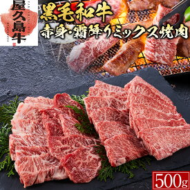 【ふるさと納税】【屋久島牛】黒毛和牛赤身・霜降りミックス焼肉500g | 肉 お肉 にく 食品