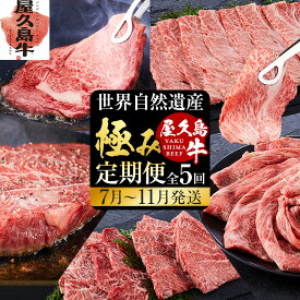 【ふるさと納税】【定期便 全5回】【屋久島牛】世界自然遺産極み定期便＜7月～11月発送＞ | 肉 お肉 にく 食品